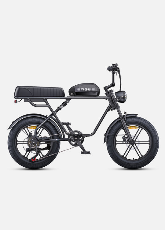 ENGWE M1 EU-Standard 65Nm Torque Dual Passenger Motorcycle-styled E-bike
