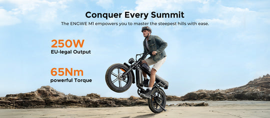 ENGWE M1 EU-Standard 65Nm Torque Dual Passenger Motorcycle-styled E-bike